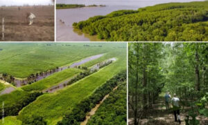 Mississippi Alluvial Valley Project